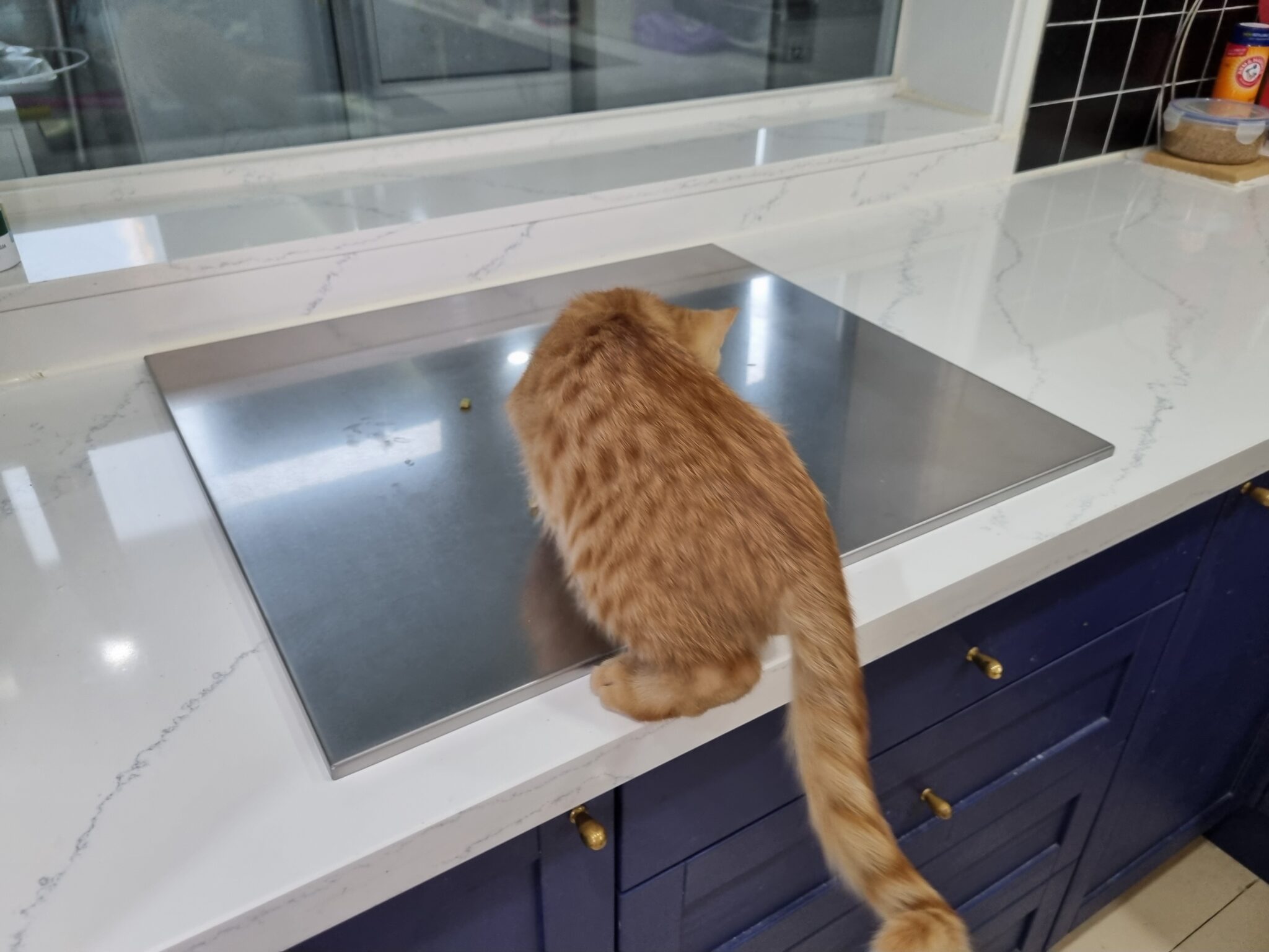 스테인리스 304 가스렌지덮개 제작 | 반려동물 화재예방 스텐덮개! 인덕션덮개로 안전까지 완벽 차단